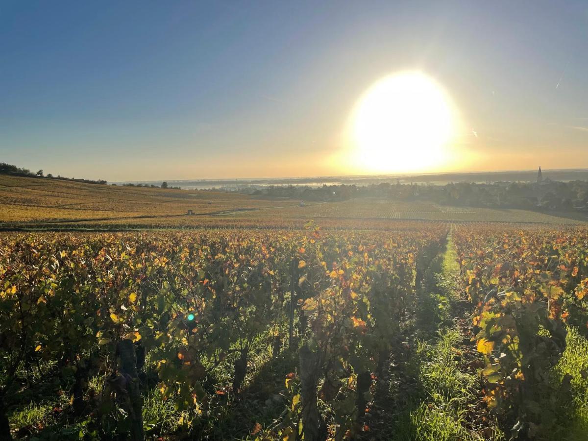 Le Clos De Miribel Givry  Bagian luar foto