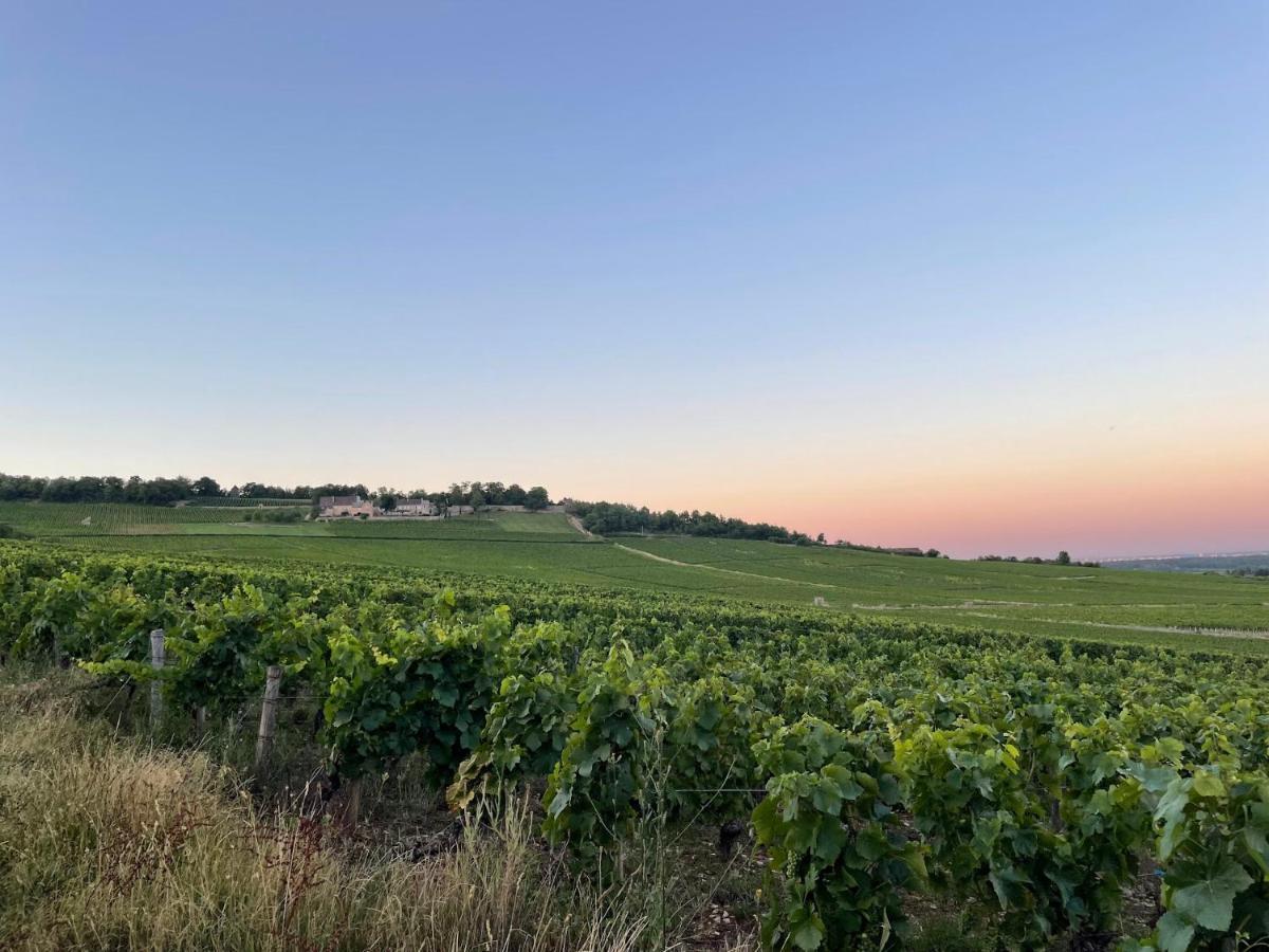 Le Clos De Miribel Givry  Bagian luar foto