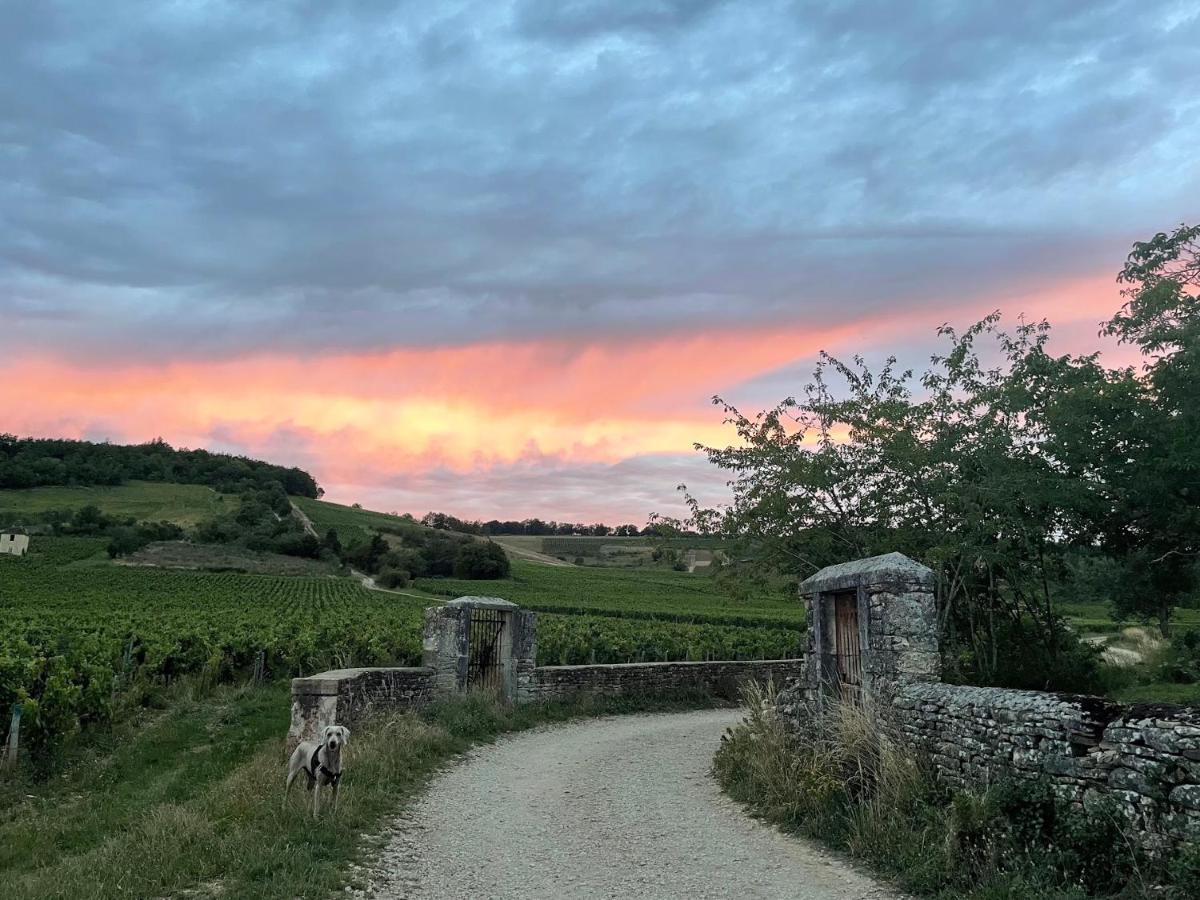 Le Clos De Miribel Givry  Bagian luar foto